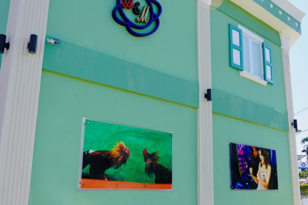 Puerto Plata cock fights sign