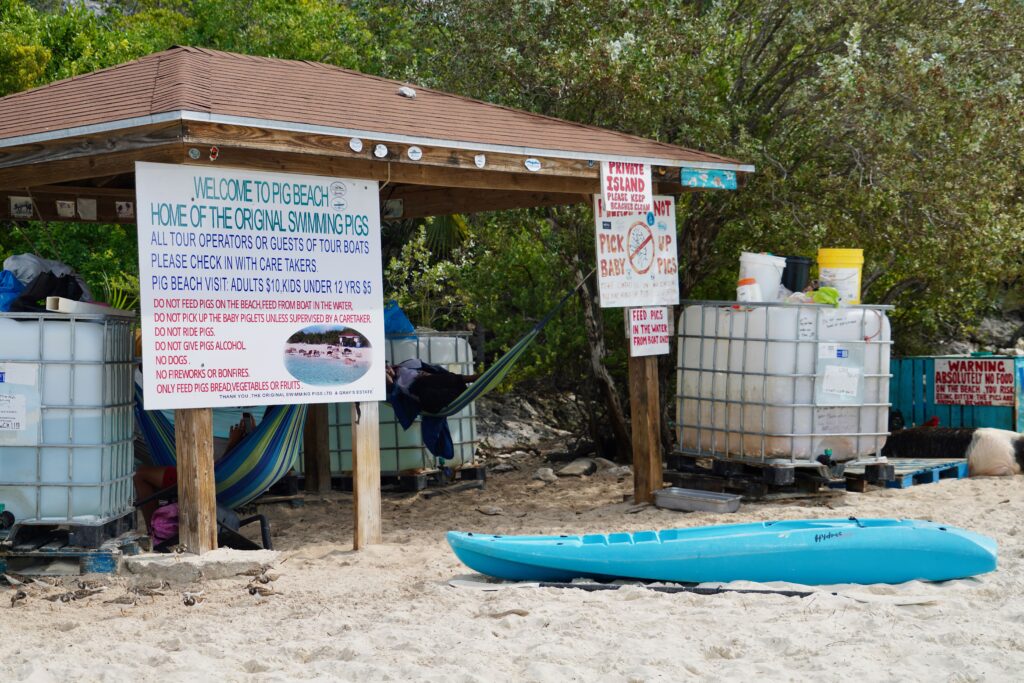 Staniel Cay's Pig Beach