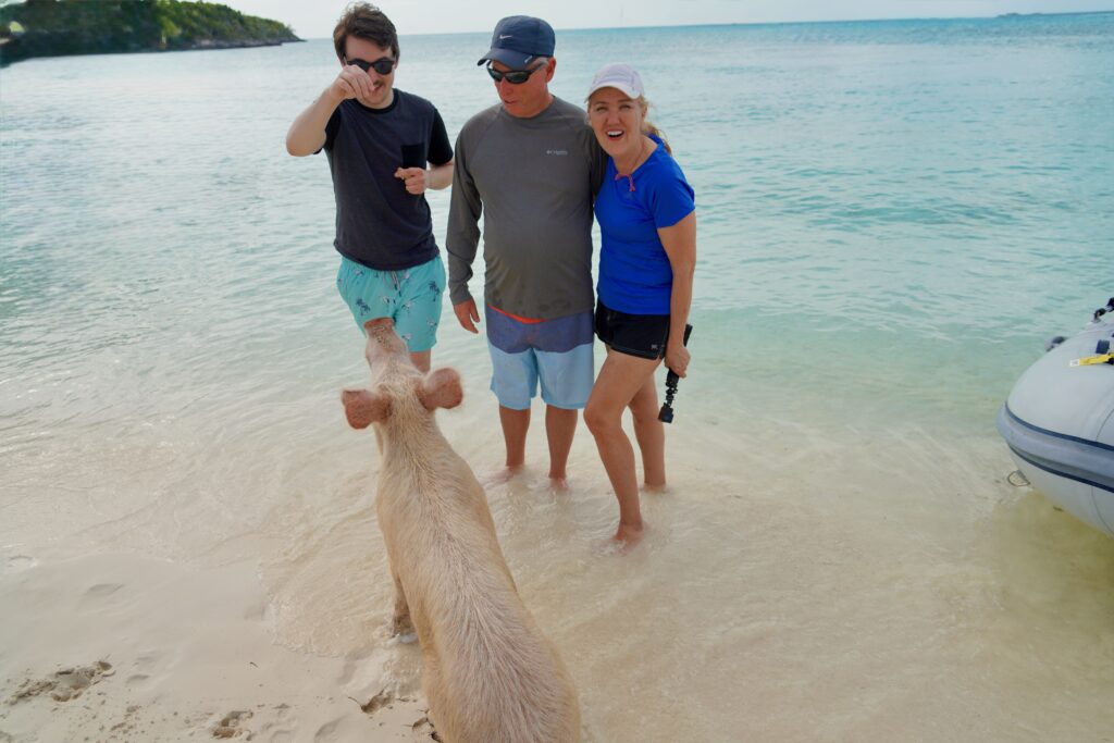Staniel Cay's Pig Beach