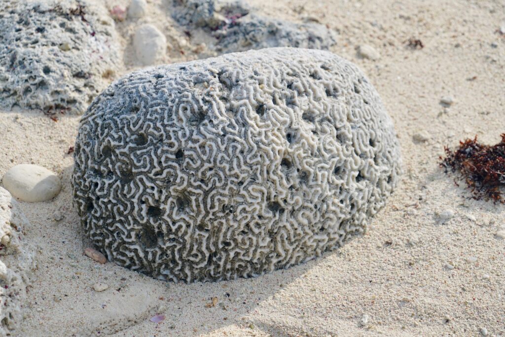 Black Point, Great Guana Cay—Hole n Rock Beach
