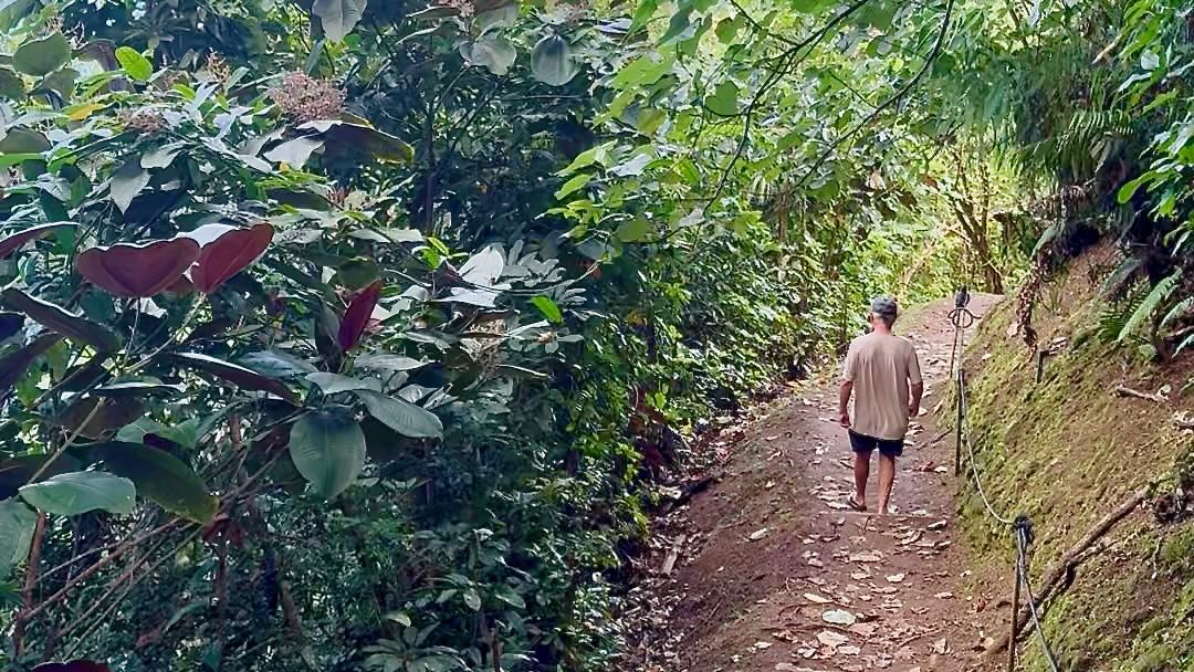 Grande Boucle de Vaipahi in Tahiti