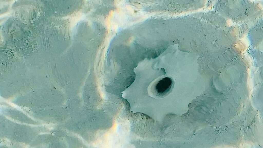 Black Point, Great Guana Cay—Long Beach