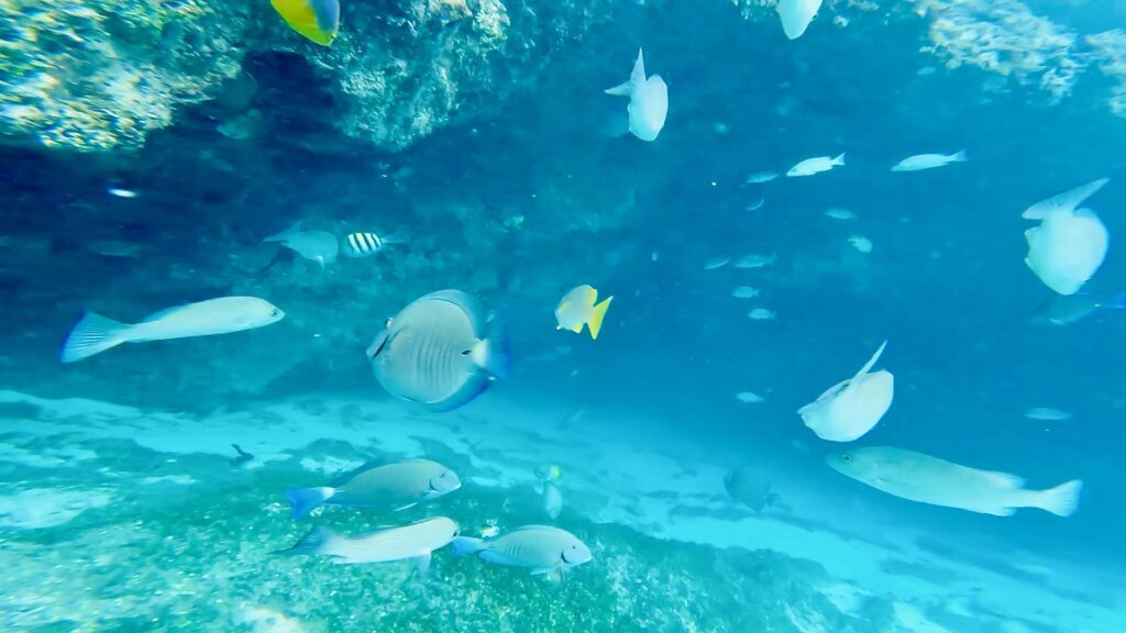 George Town, Great Exuma Island—Mystery Cave