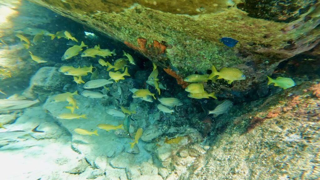 The British Virgin Islands (BVIs)—RMS Rhone