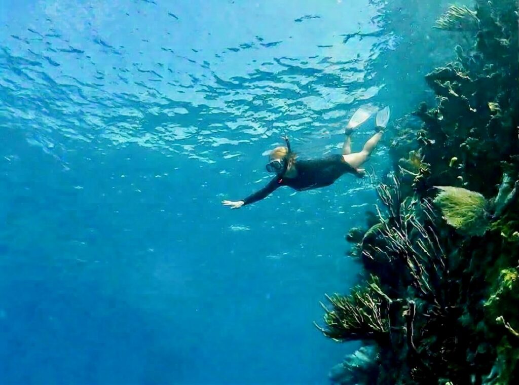 The British Virgin Islands (BVIs)—The Indians