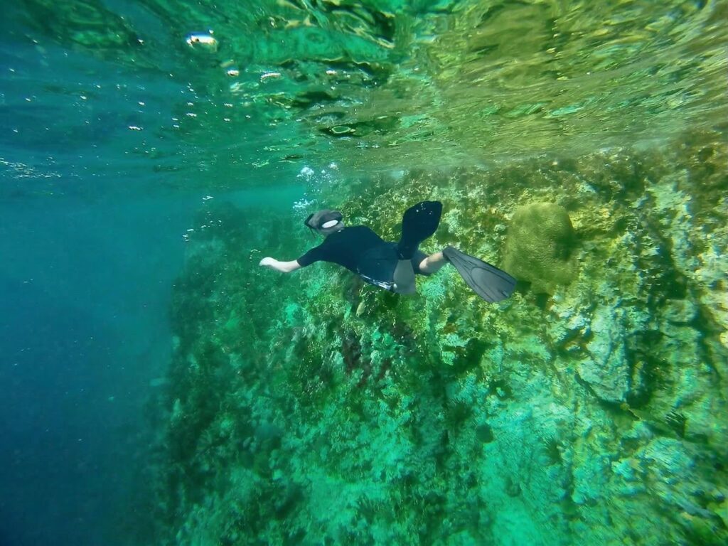 The British Virgin Islands (BVIs)—The Indians