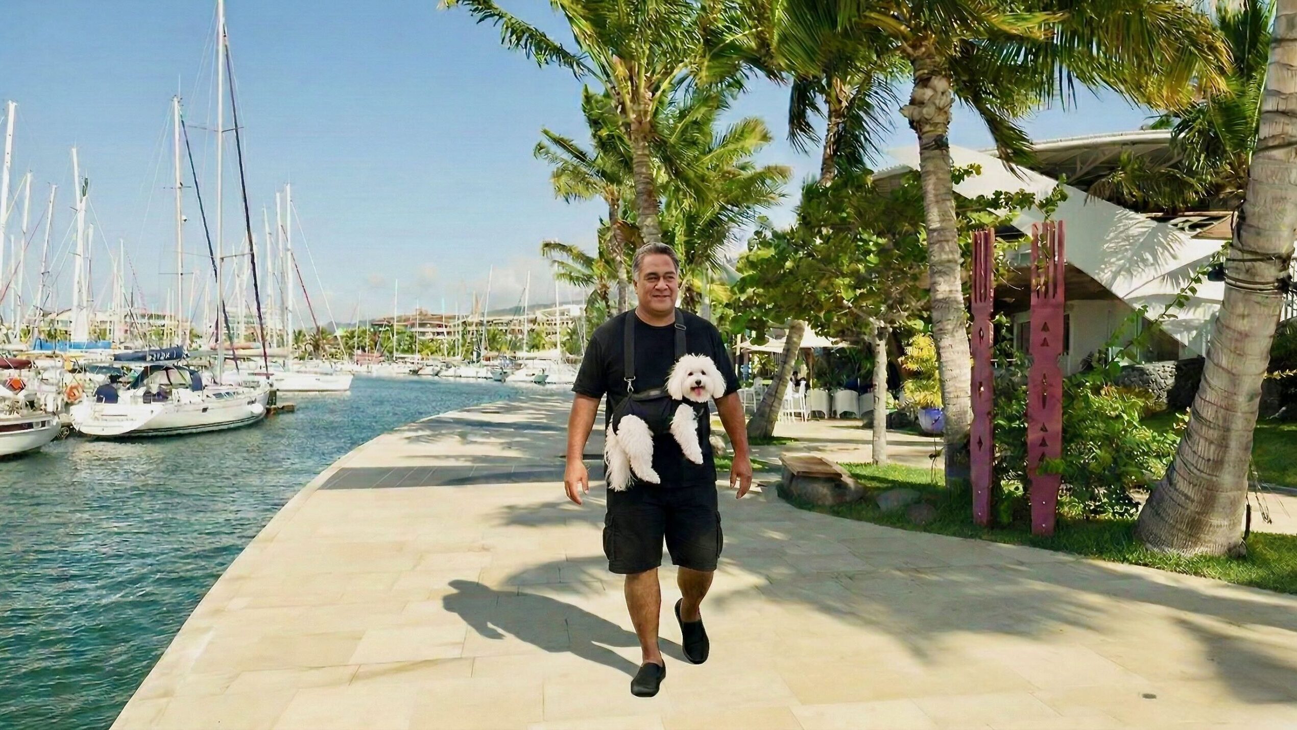 Jardins De Paofai in Tahiti