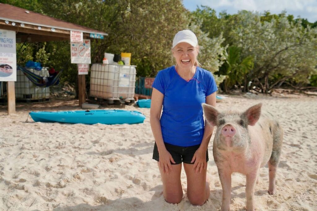 Staniel Cay's Pig Beach