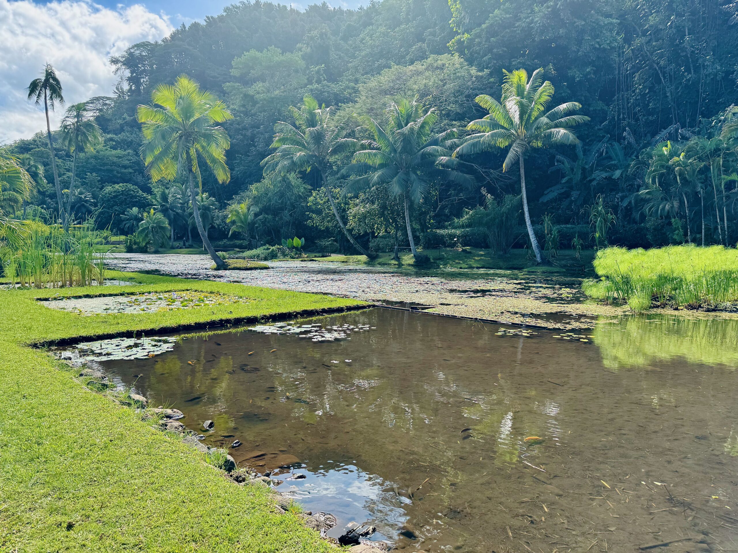 Jardins d'eau de Vaipahi in Tahiti
