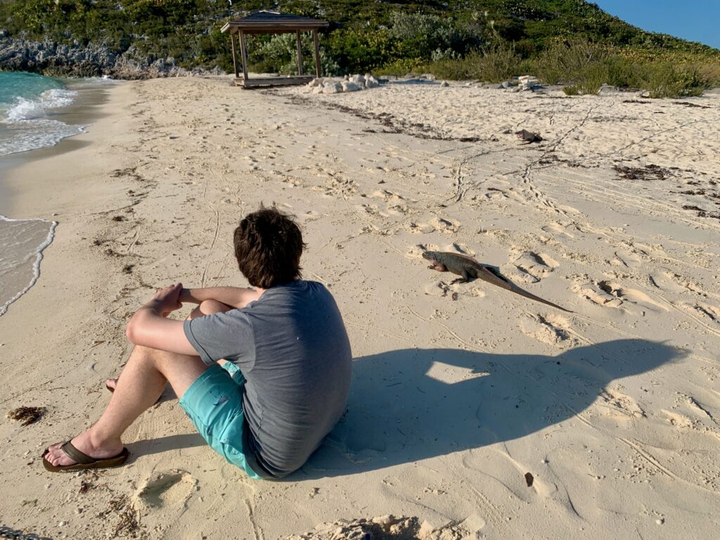 Bitter Guana Cay