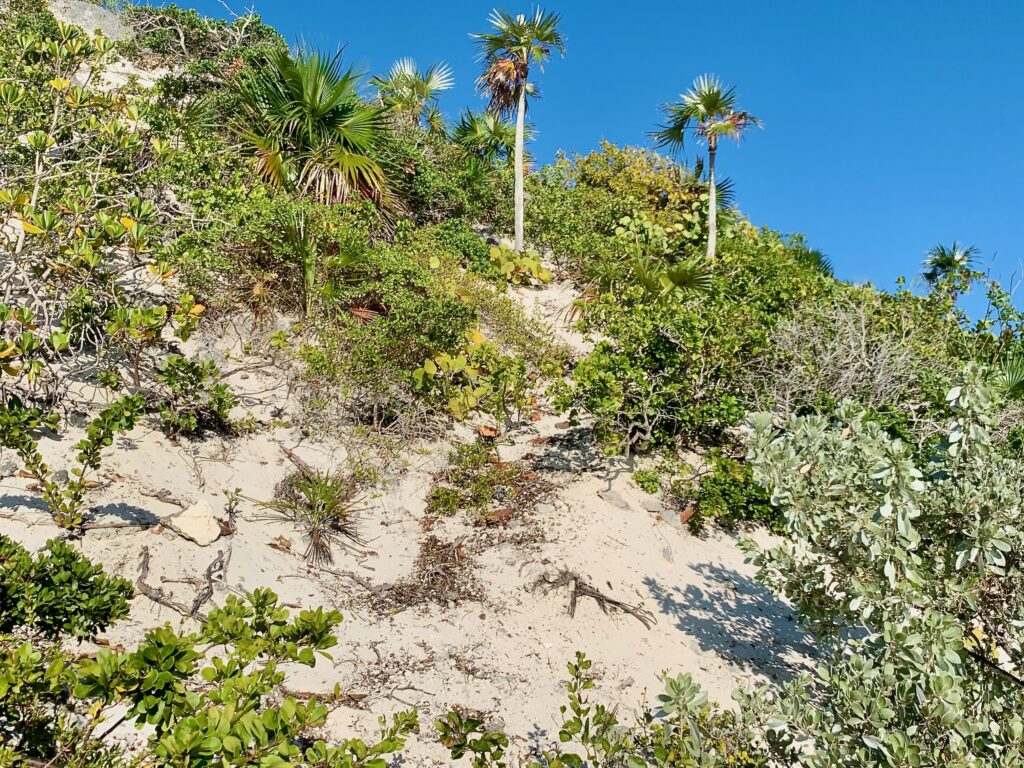 George Town, Great Exuma Island—Monument Hill