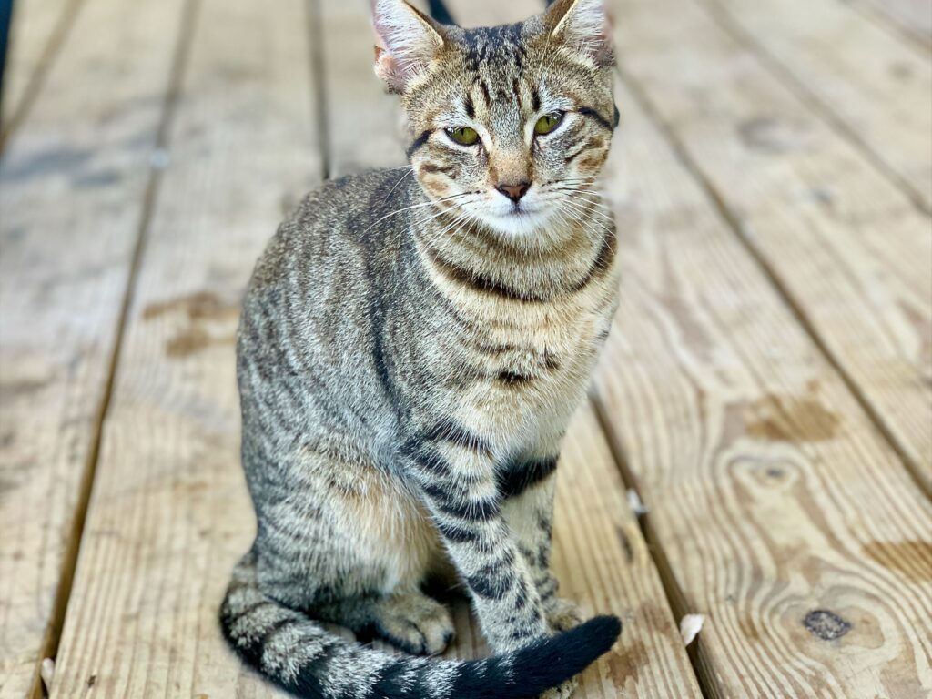 George Town, Great Exuma Island—Exuma Yacht Club