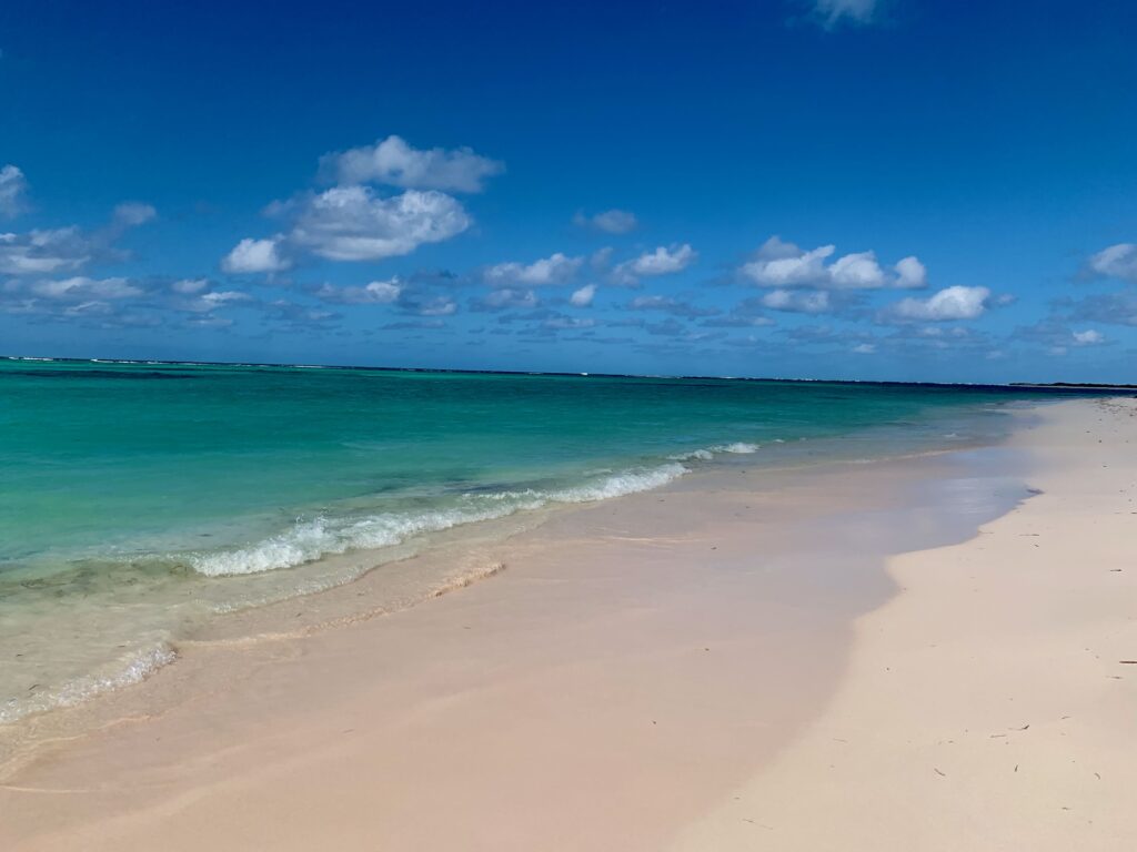 The British Virgin Islands (BVIs)—Anegada Cow Wreck Beach