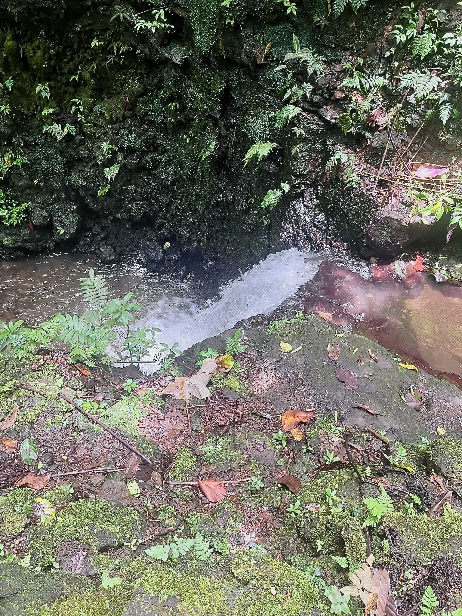 Grande Boucle de Vaipahi in Tahiti